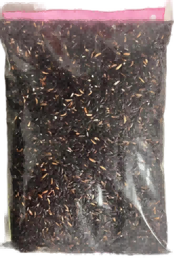 Arroz negro glutinoso C/12*1kg/黑糯米 