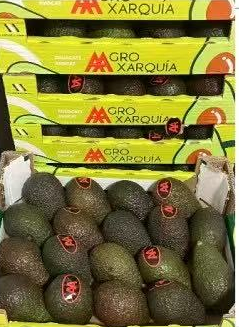 [6A0012] Aguacate caja16